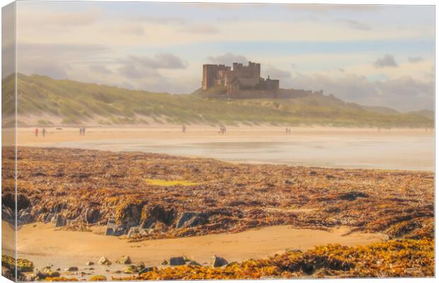 Bamburgh Castle Canvas Print by Andy Shackell