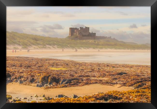 Bamburgh Castle Framed Print by Andy Shackell