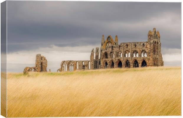 Whitby Abbey Canvas Print by Andy Shackell