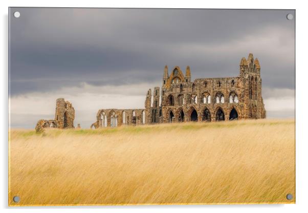 Whitby Abbey Acrylic by Andy Shackell