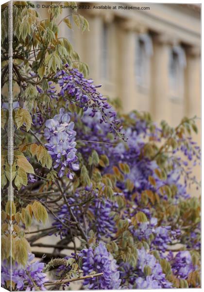 Close up of Wisteria at the Royal Crescent Bath Canvas Print by Duncan Savidge