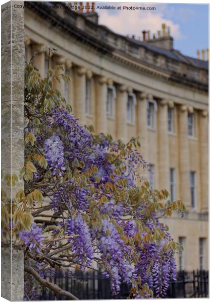 Abstract of the Royal Crescent Batb Canvas Print by Duncan Savidge