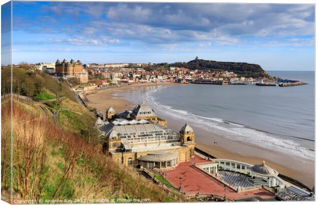 South Bay at Scarborough copy Canvas Print by Andrew Ray
