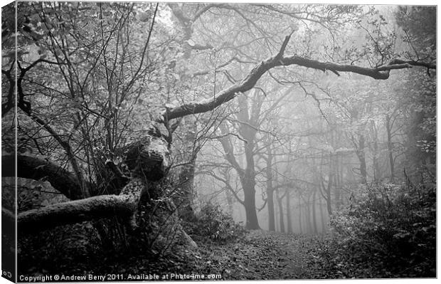Black and White Misty Wood Canvas Print by Andrew Berry