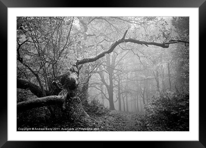 Black and White Misty Wood Framed Mounted Print by Andrew Berry