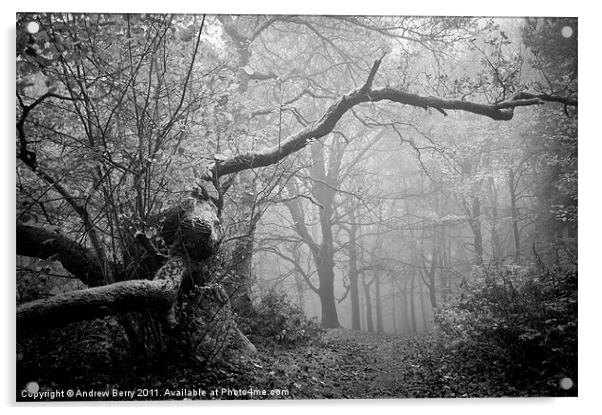 Black and White Misty Wood Acrylic by Andrew Berry