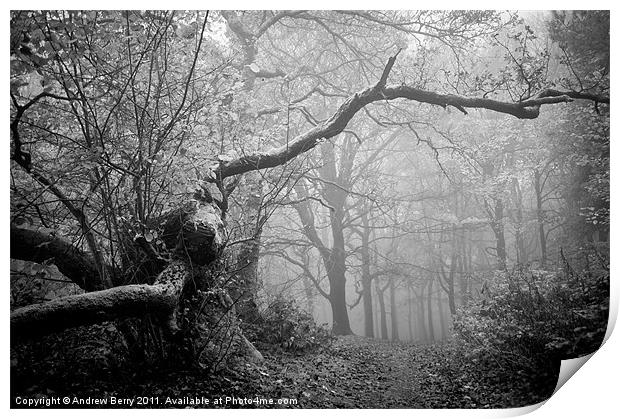 Black and White Misty Wood Print by Andrew Berry