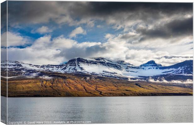 Eastfjords  Canvas Print by David Hare