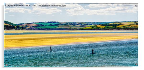 Paddle Boarding On The Camel River Acrylic by Peter F Hunt