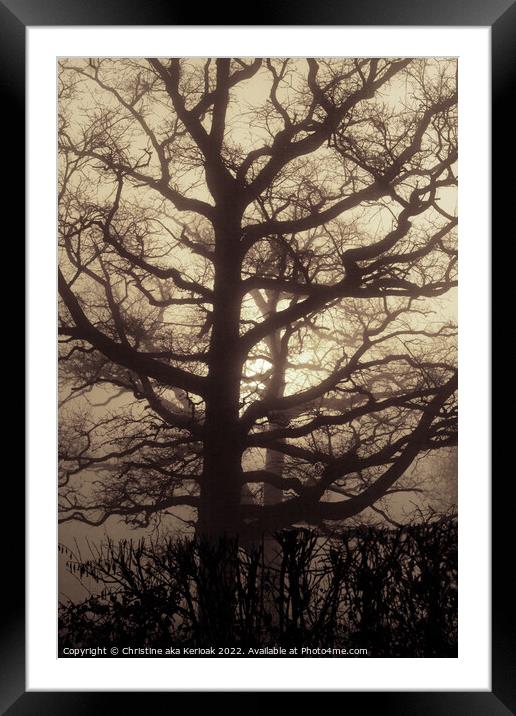 Abstract Oak Tree in mist Framed Mounted Print by Christine Kerioak