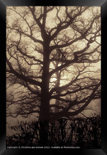 Abstract Oak Tree in mist Framed Print by Christine Kerioak