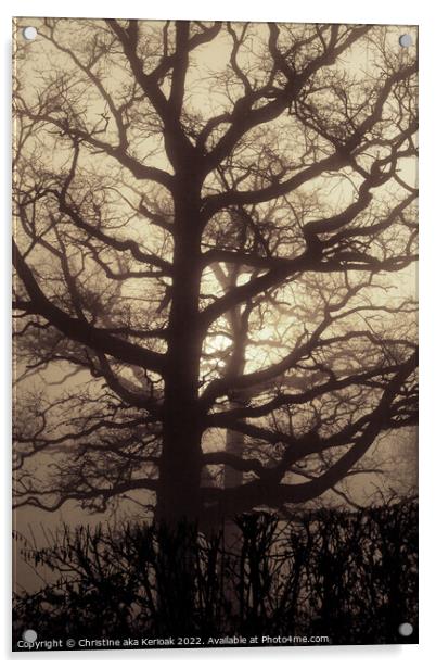 Abstract Oak Tree in mist Acrylic by Christine Kerioak