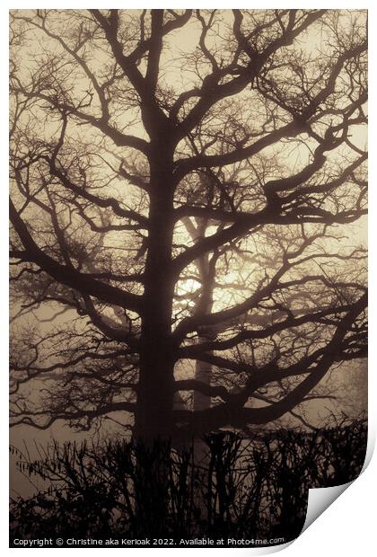 Abstract Oak Tree in mist Print by Christine Kerioak
