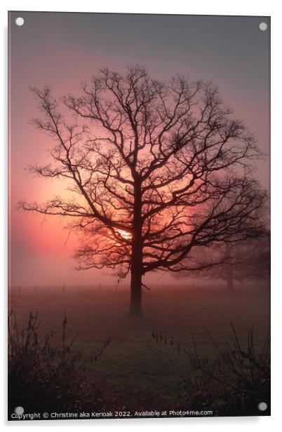 Sun rising out of mist behind large Oak Tree Acrylic by Christine Kerioak