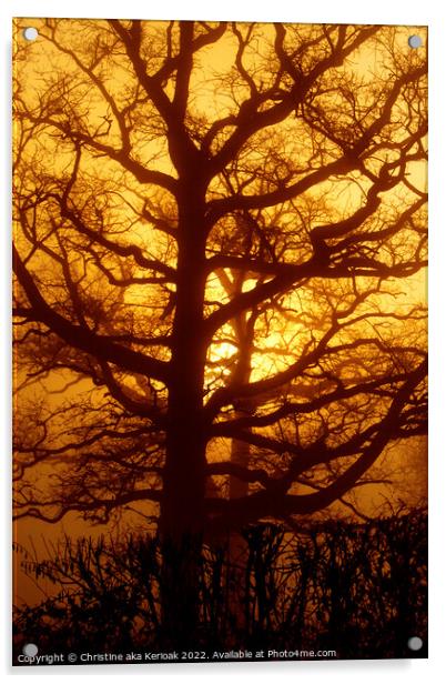 Oak Tree in the Golden Dawn Acrylic by Christine Kerioak