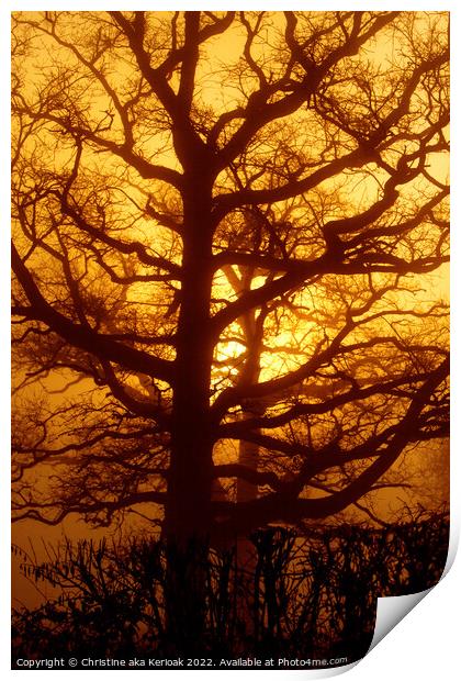 Oak Tree in the Golden Dawn Print by Christine Kerioak
