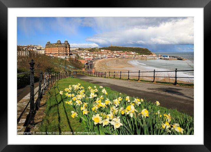 Early spring at Scarbourgh  Framed Mounted Print by Andrew Ray