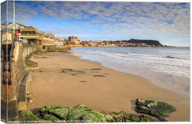 Scarborough view  Canvas Print by Andrew Ray