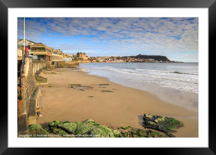 Scarborough view  Framed Mounted Print by Andrew Ray