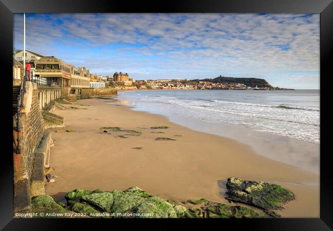 Scarborough view  Framed Print by Andrew Ray