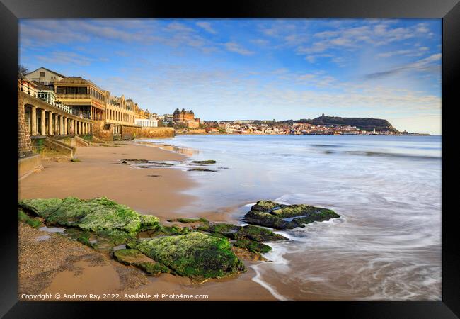 Beach view (Scarborough) Framed Print by Andrew Ray
