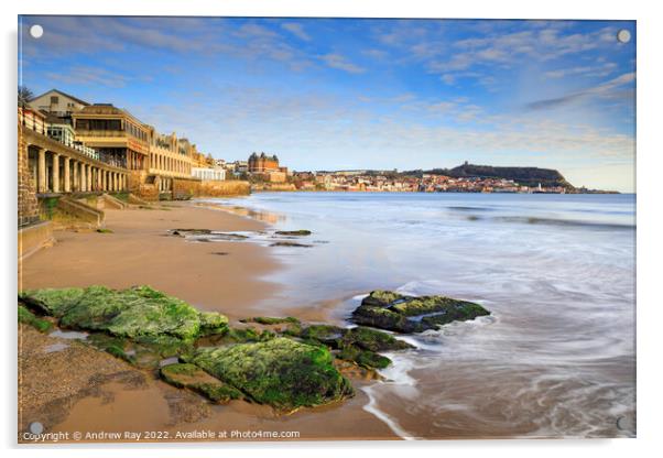 Beach view (Scarborough) Acrylic by Andrew Ray