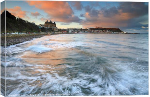 Sunset at Scarborough  Canvas Print by Andrew Ray