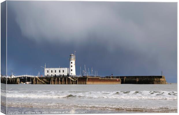 Scarborourgh Lighthouse Canvas Print by Andrew Ray