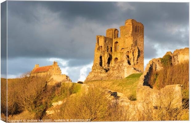 Evening light on Scarborough Castle Canvas Print by Andrew Ray