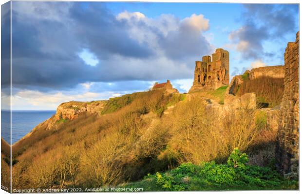 Late light on Scarborough Castle Canvas Print by Andrew Ray