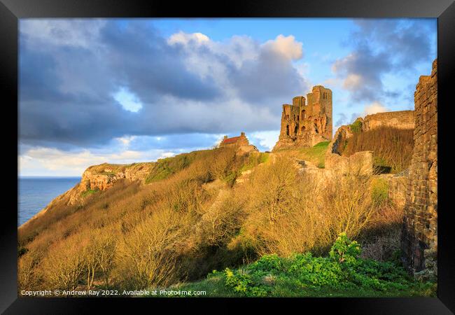 Late light on Scarborough Castle Framed Print by Andrew Ray