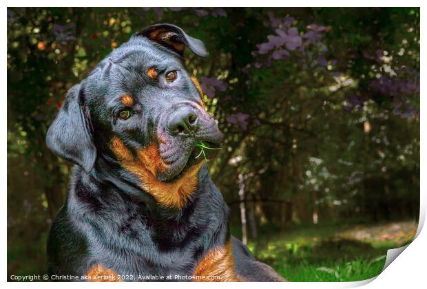 Quizzical Young Rottweiler Print by Christine Kerioak