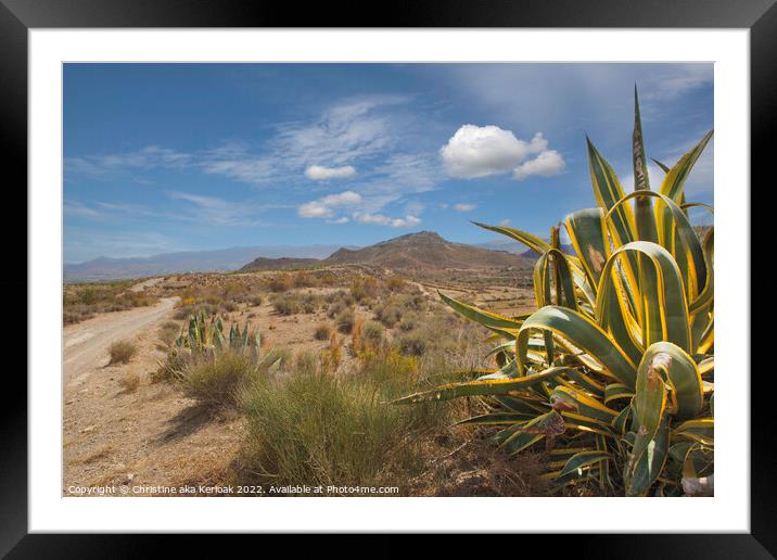Aloe on Spanish Hillside Framed Mounted Print by Christine Kerioak