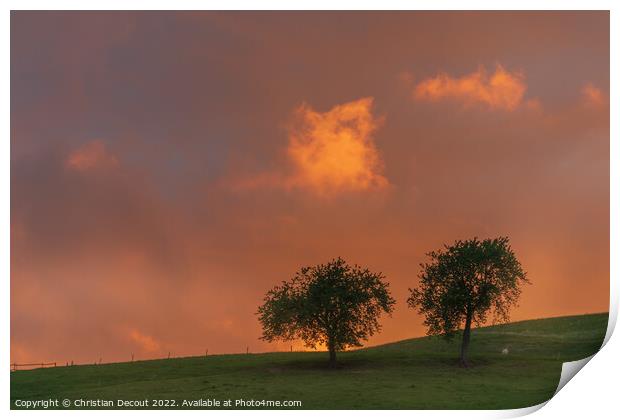 Orange sky at sunset in black forest. Print by Christian Decout