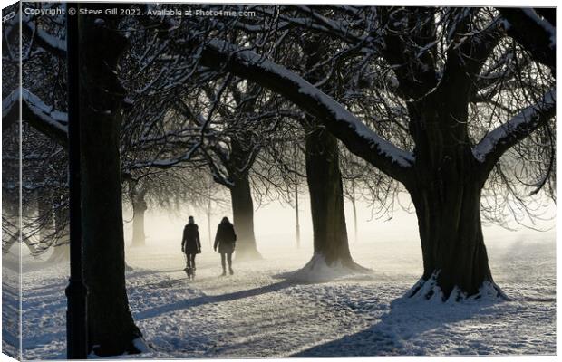 Two Women Walking a Dog on a Snowy Morning in the  Canvas Print by Steve Gill