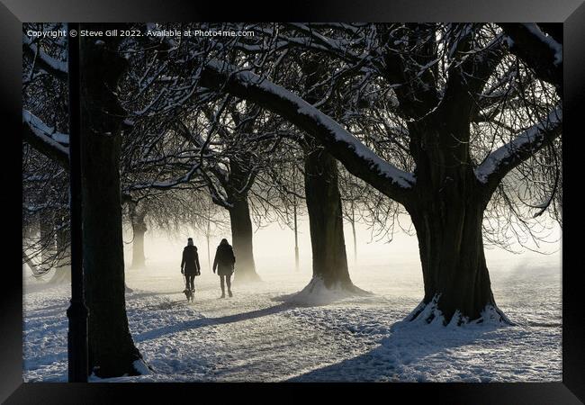 Two Women Walking a Dog on a Snowy Morning in the  Framed Print by Steve Gill