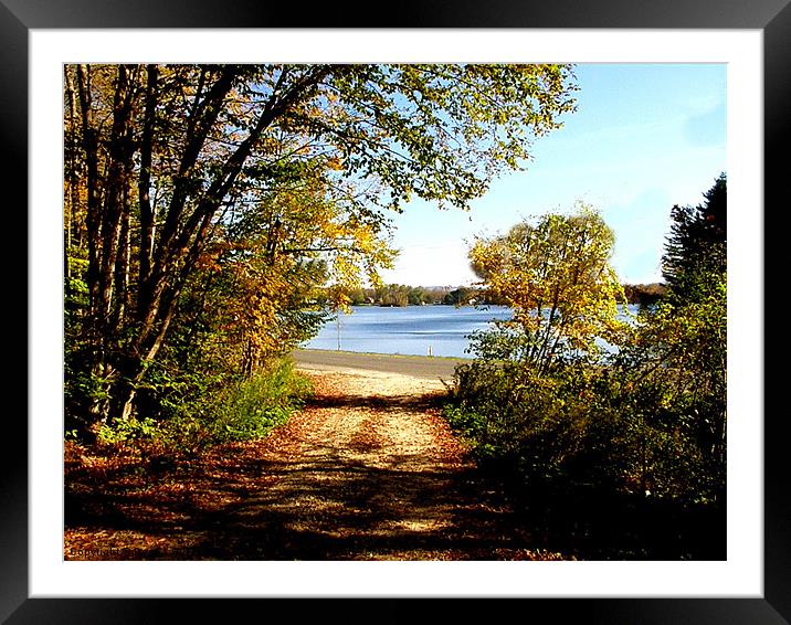The View Framed Mounted Print by Donna Duclos
