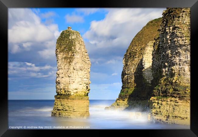Sea stack at Selwicks Bay  Framed Print by Andrew Ray