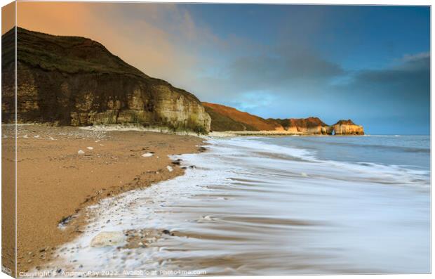 Morning at Thornwick Bay  Canvas Print by Andrew Ray
