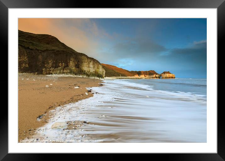 Morning at Thornwick Bay  Framed Mounted Print by Andrew Ray