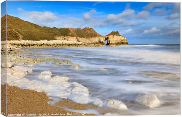 Thornwick Bay  Canvas Print by Andrew Ray