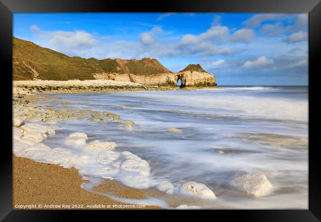 Thornwick Bay  Framed Print by Andrew Ray