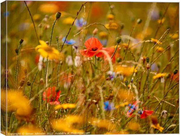 poppy amongst the meadow flowers Canvas Print by Simon Johnson