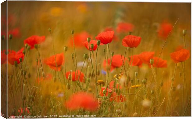 dreamy poppies Canvas Print by Simon Johnson
