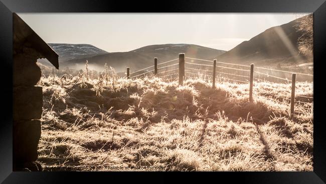 Winter Sun Framed Print by Andrew MacDonald