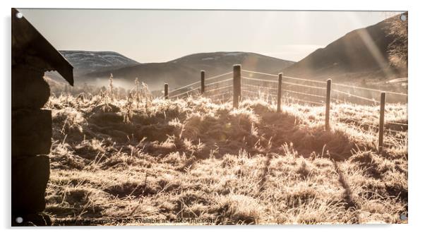Winter Sun Acrylic by Andrew MacDonald