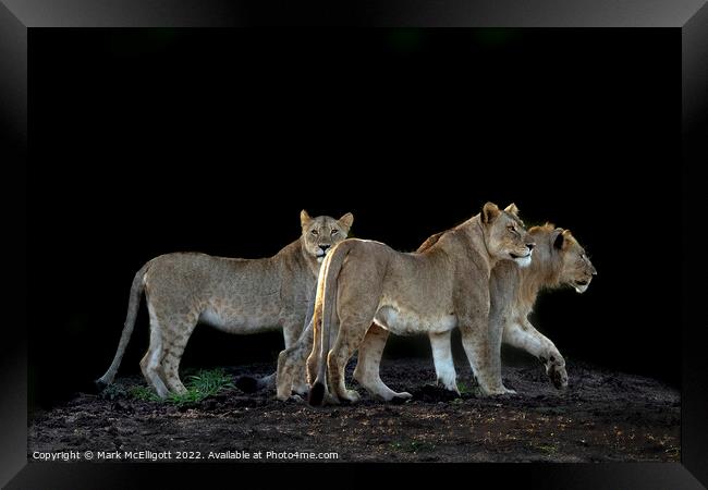 On The Move Framed Print by Mark McElligott