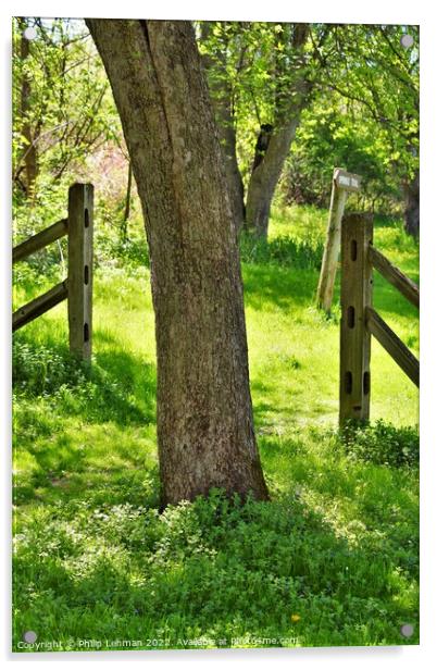 Gated Tree (B) Acrylic by Philip Lehman