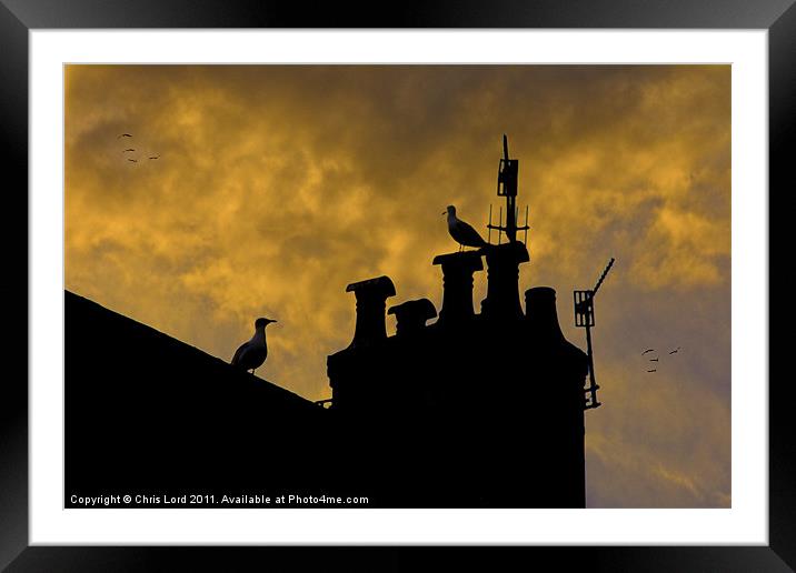 Chimneys of Brighton Framed Mounted Print by Chris Lord