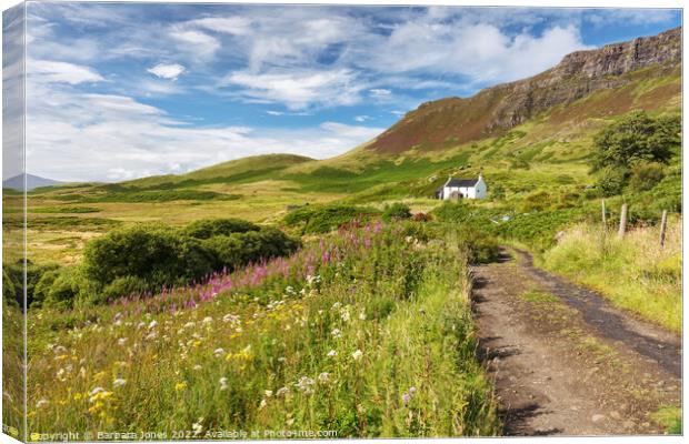 Howlin House A Summer Meadow on the Isle of Eigg Canvas Print by Barbara Jones